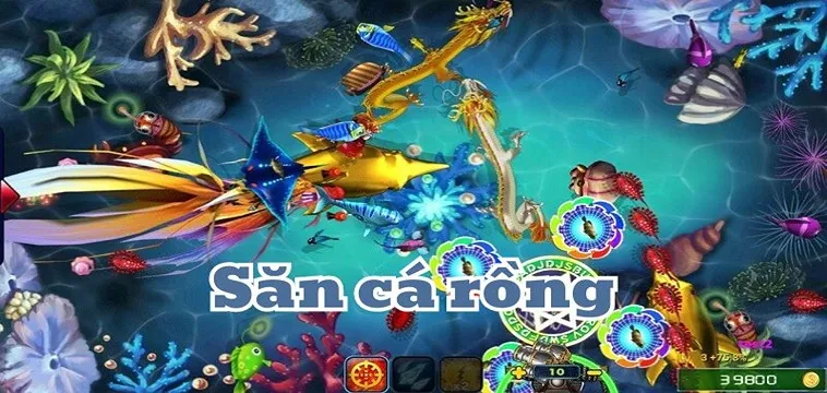 Bí Quyết Chơi Bắn Cá Rồng MMLIVE Săn Thưởng Khủng Dễ Dàng