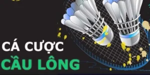 Bí Kíp Cá Cược Cầu Lông MMLIVE Thắng Lớn Dành Cho Tân Thủ