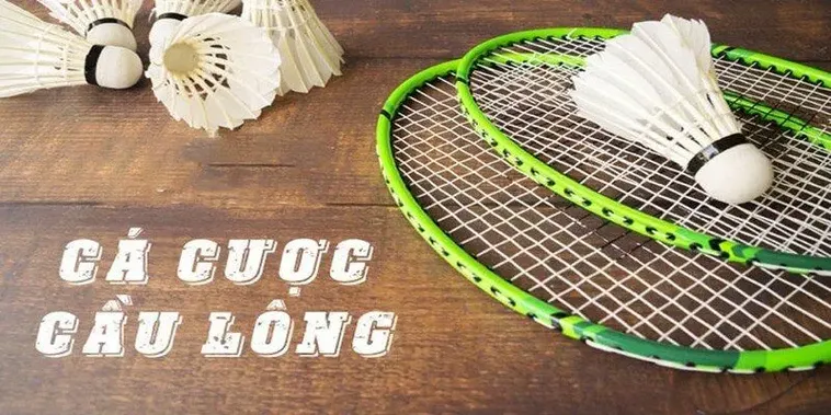 Bí Kíp Cá Cược Cầu Lông MMLIVE Thắng Lớn Dành Cho Tân Thủ