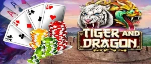 Dragon Tiger Tại MMLIVE Thắng Lớn Với Bí Kíp Đơn Giản