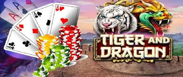 Dragon Tiger Tại MMLIVE Thắng Lớn Với Bí Kíp Đơn Giản